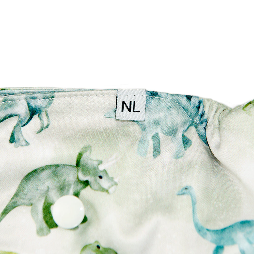 Dinosaur All In Two Modern Cloth Nappy Logo